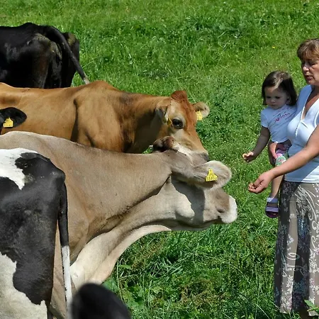Kerschbaumerhof Alojamento de Turismo Rural *
