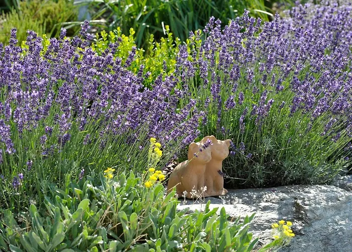 Farma Kerschbaumerhof