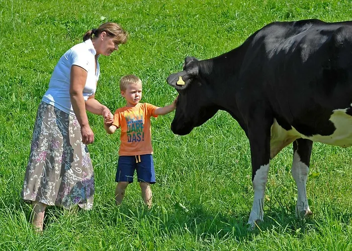 Kerschbaumerhof Шладминг